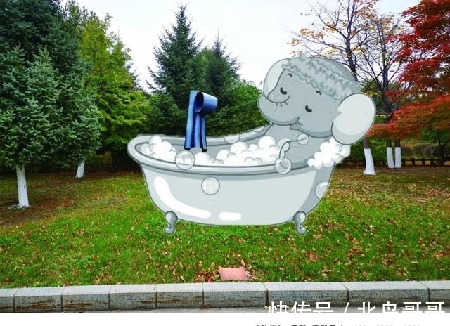 吉尼斯纪录$第四届雕塑与冰雪融合创作邀请展入选作品方案公告