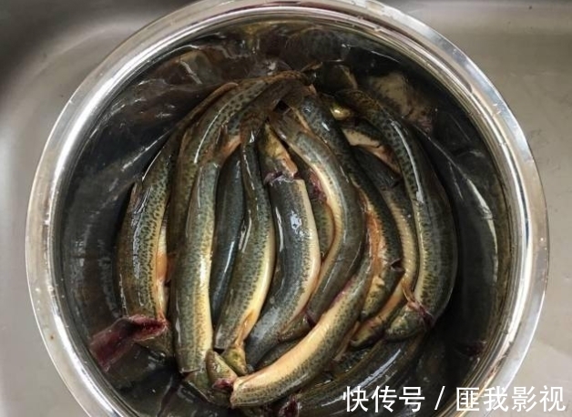 骨质疏松|3种肉类是天然“强骨剂”,医生提醒:骨骼不好的人,别不舍得吃