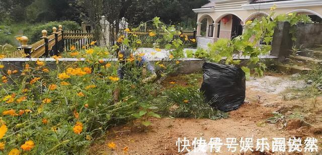 别墅|别拿一层不当别墅!5个真实案例,告诉你在农村建一层别墅有多爽