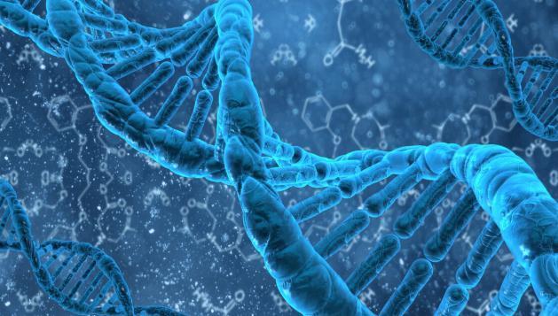 慢性病|老年痴呆是吃出来的?医生坦言:3种饮食习惯会增加痴呆的风险