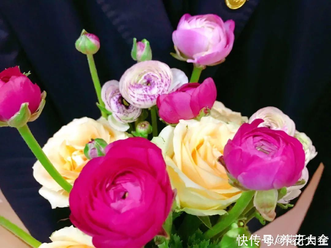 氛围感|养这5种花，实现切花自由，不用别人送