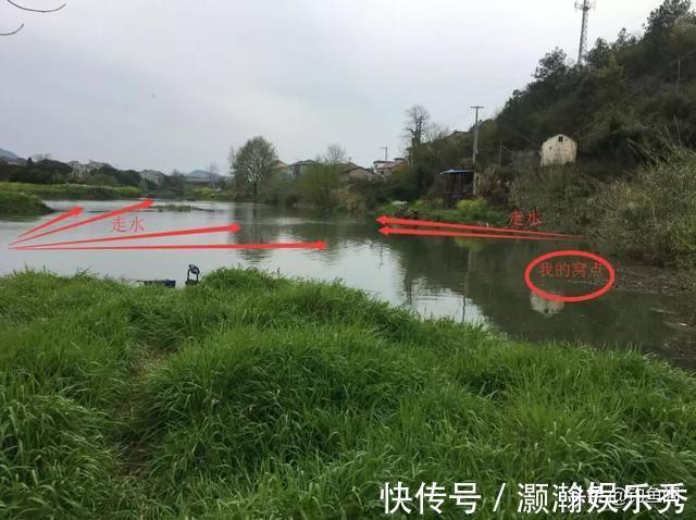 水草|进入深秋,老钓手都喜欢选这三种钓位,容易出大板鲫