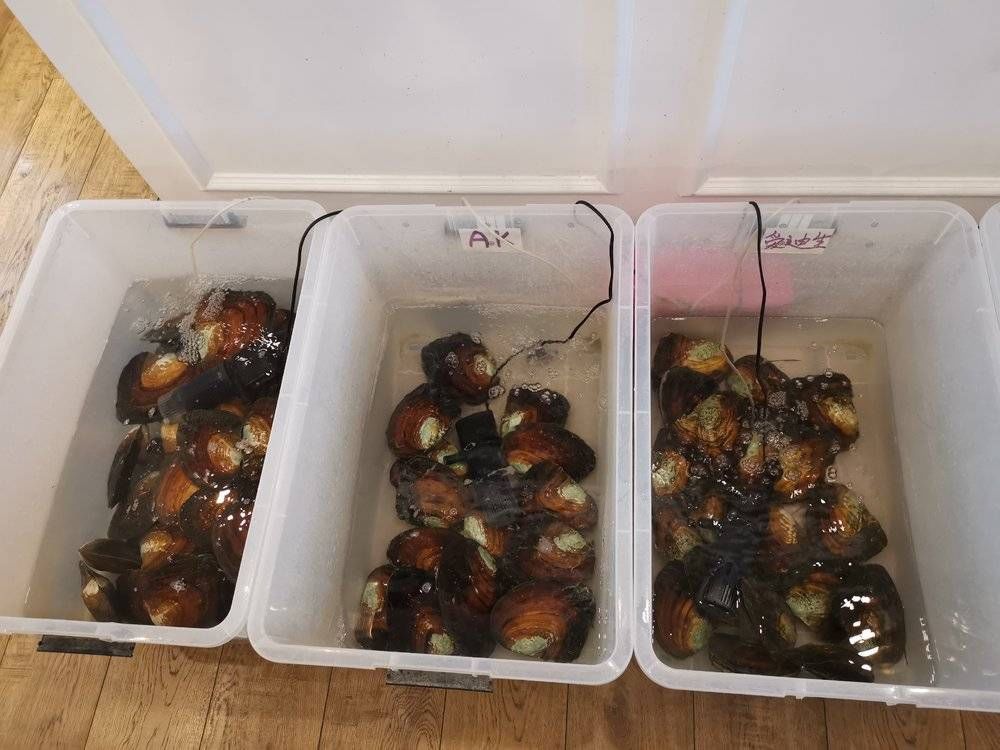 爱迪生|多少女人正在深夜，沉迷最“佛系”的赌性直播？