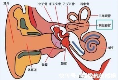 身体机能|为啥有人会晕车孩子晕车很难受，这几招提前预防措施要记住！