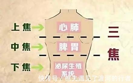 大肠|1个方子,3味药,补虚又滋阴,把人体上中下三焦的水全都补一个遍