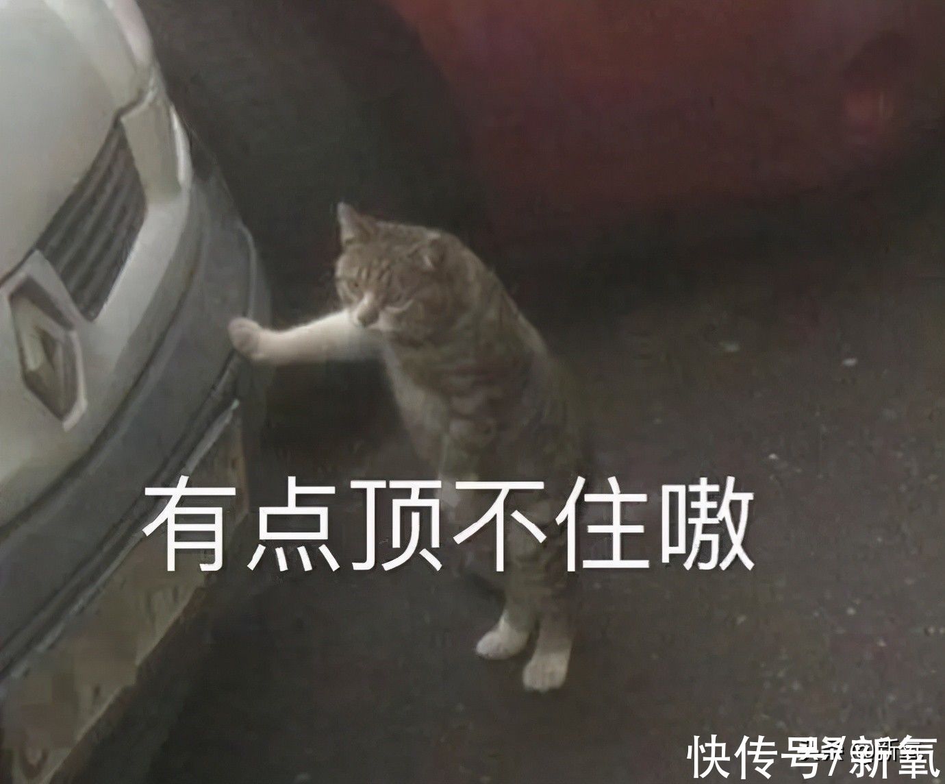 巴黎世家|有钱但真土，说的就是她们