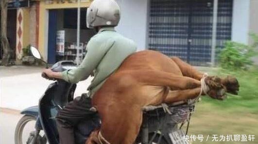 |不良人、贼曹、专操大臣：没有搞笑，这不是骂人，这是古代官名