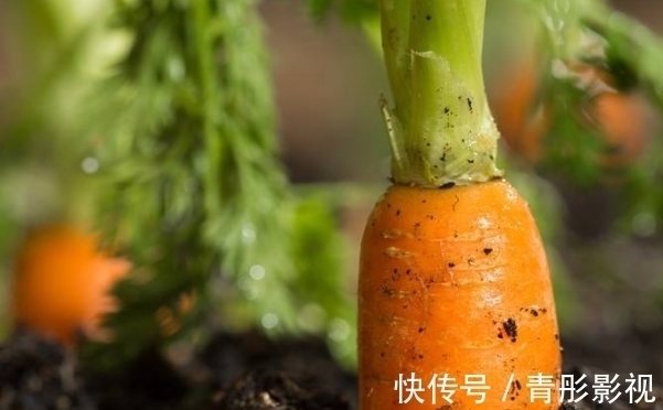 食物|12岁女孩身高163厘米，医生：3种食物是秋季身高“增长器”，可多食