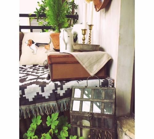 30㎡阳台改造的植物花园，网友直呼：这是我见过最美的阳台花园