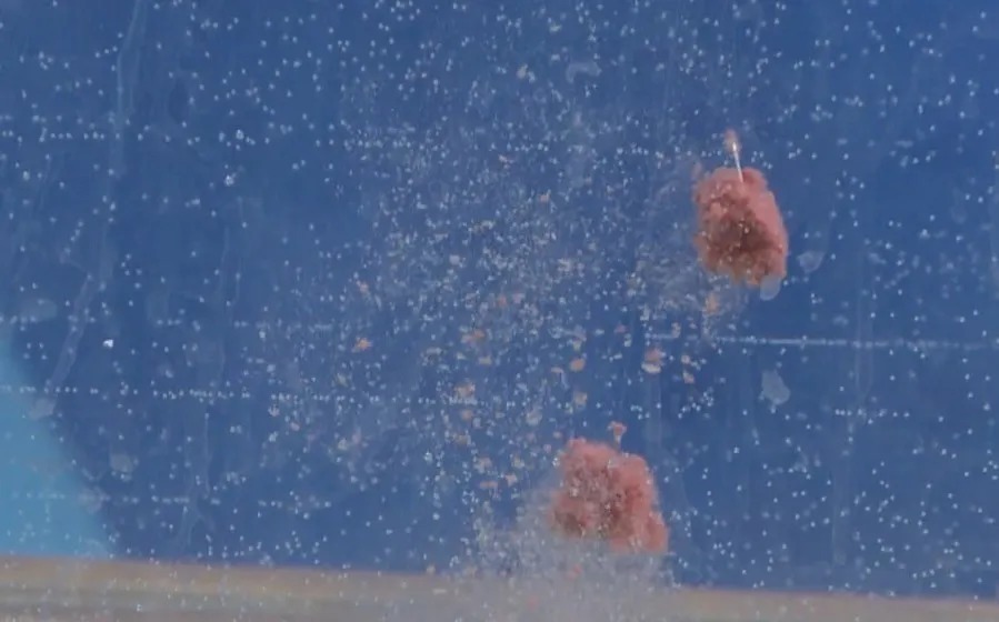 销售额|真能一包蓝鲫走天下吗?若早知晓问题所在,就知道少钓多少鱼了