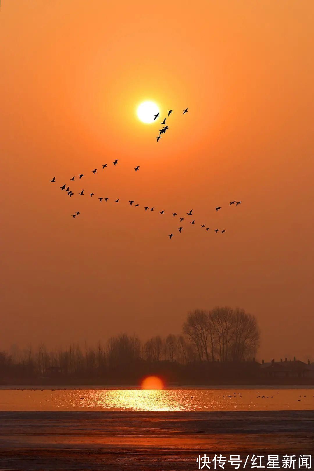 绿杨烟外晓寒轻#今日小寒!