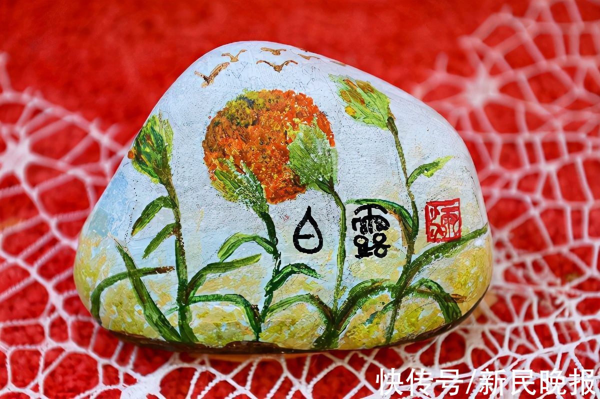 秋收|白露|喝过白露酒 秋收啥都有