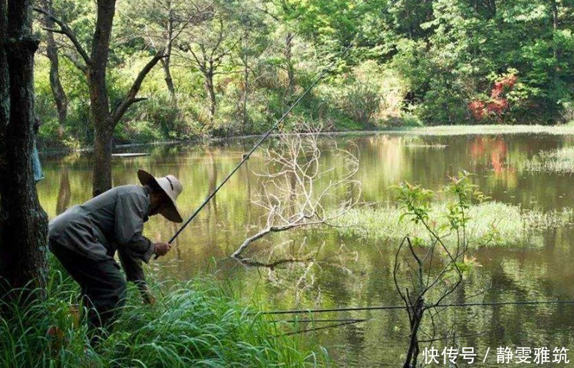 农家乐|新手野钓如何找到最佳钓位？按照这个思路来准没错