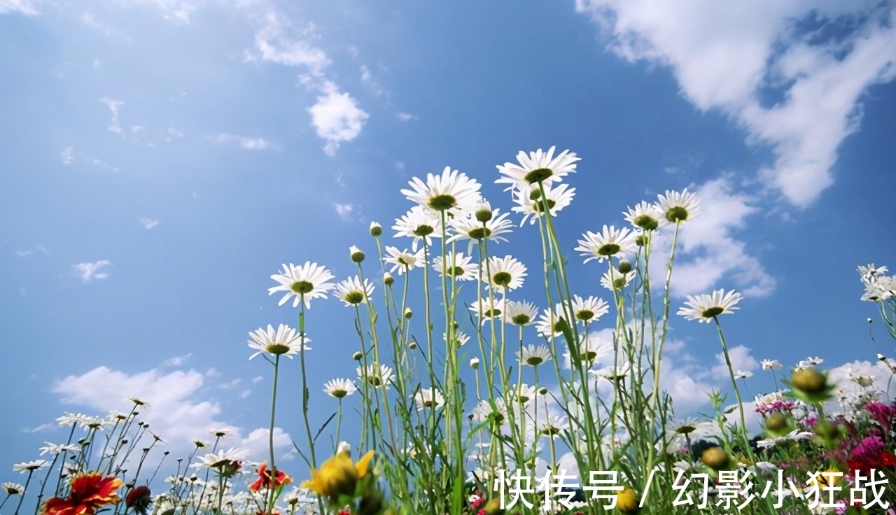 男人|男人爱一个女人到极致,通常会有几个生理反应,特别明显