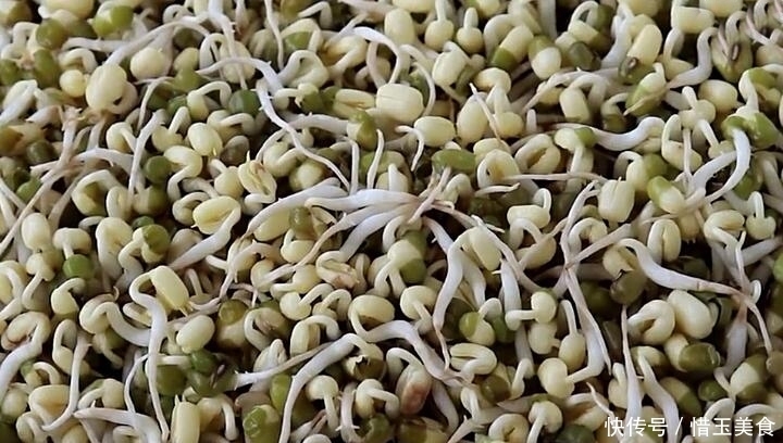 做法|想吃绿豆芽别再买,教你在家生,一碗绿豆生一大盆,做法超简单