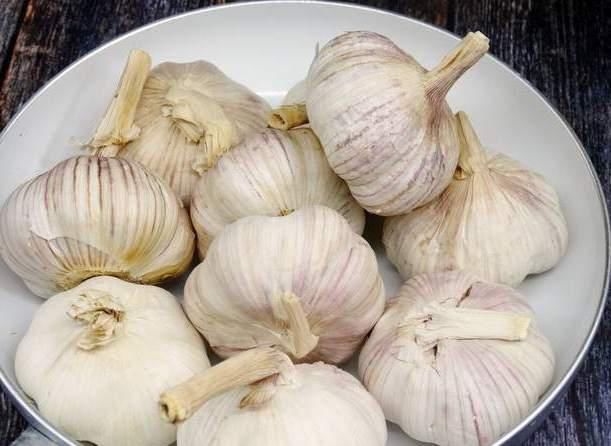 米醋|腊八蒜最忌直接加醋腌,牢记4个小妙招,大蒜又脆又香绿得快