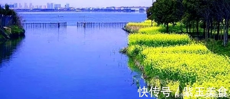 千门万户曈曈日!等闲识得东风面,万紫千红总是春。千古名诗12句请你来评