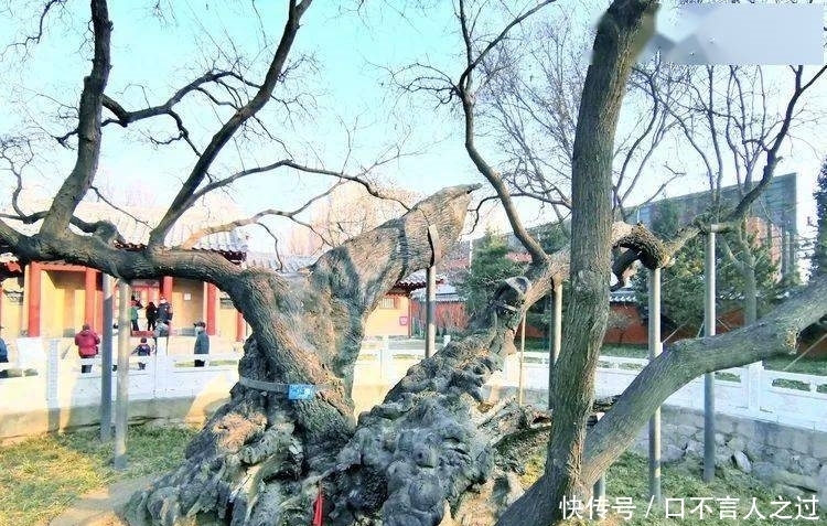 故里|看点丨狄仁杰故里