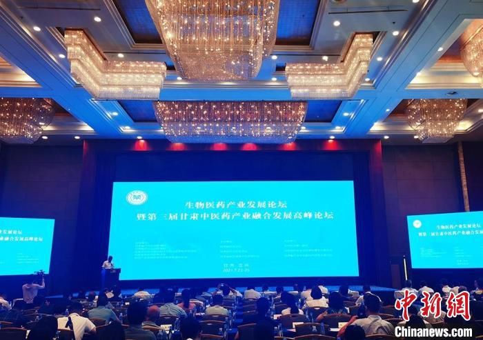 聚焦|专家学者聚焦“千年药乡”甘肃中医药发展守正与创新