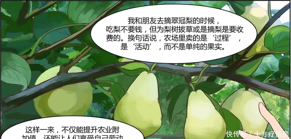 漫画|【连环漫画】“乌小哈”和“乌小娘”，向你安利崇明开心农场~