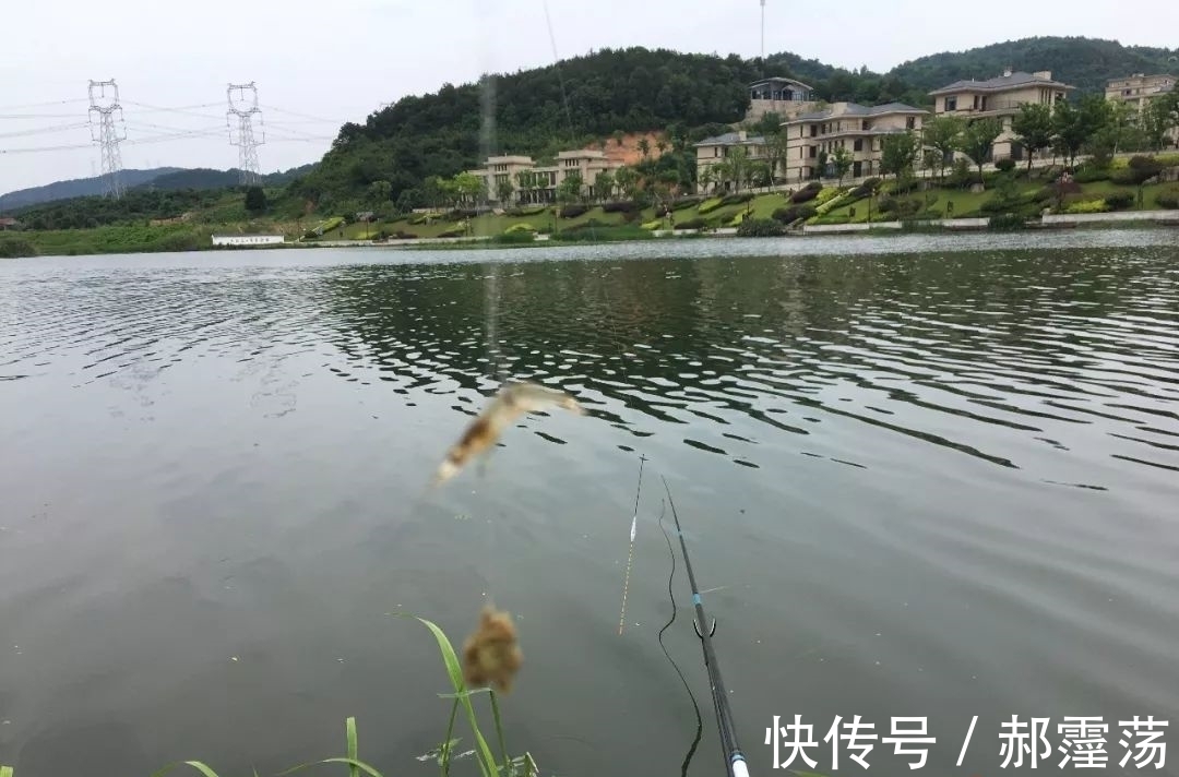 太空豆|野钓走水的四个处理方法，只要钓组能抛出去，风浪再大也不怕