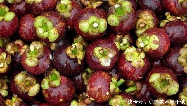 果农|买山竹,不管大小就挑“母”的,果农记住这4点,一挑一个准