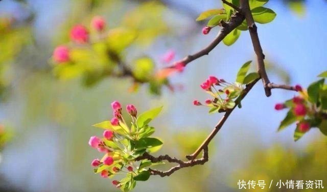 诗妹$一首流传千古的爱情诗,字字句句皆是情,尾句人人熟悉