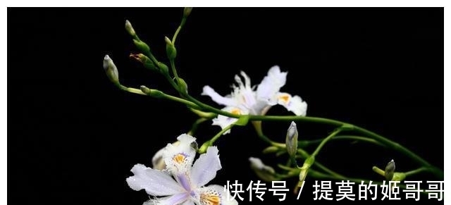 生肖|7天后，旧情浓郁，难舍旧爱，3生肖复合在即，主动继续