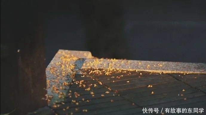 懂得|庄子：活明白的人，都懂得这十句话