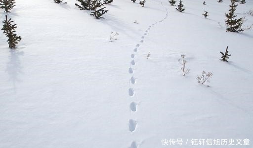 王弗|苏轼最凄美的一首词，全词无一个“悲”字，却悲得荡气回肠