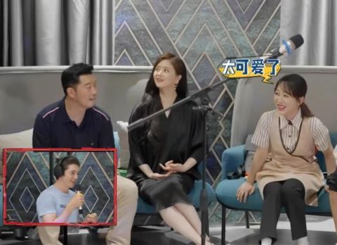 蒋欣|《萌探探探案》那英事业遭遇滑铁卢,遭孙红雷嘲讽,蒋欣自制话题