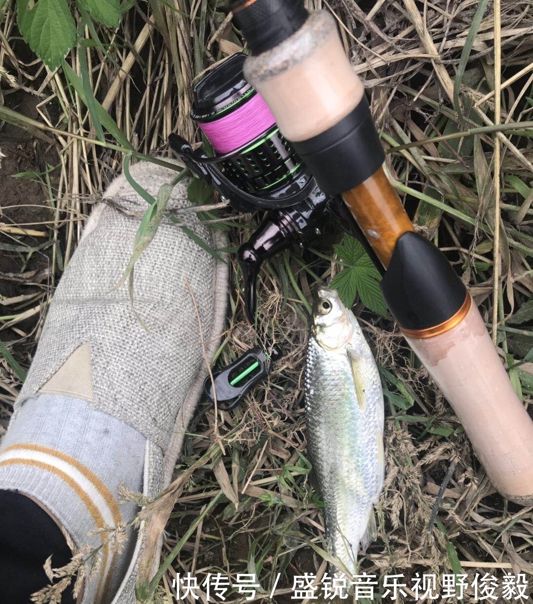 亮片|立夏后,作钓白条的几点技巧,一般人真不知道