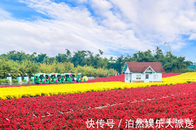 广东也藏了个“普罗旺斯”，美得像个童话世界，超适合女生去拍照