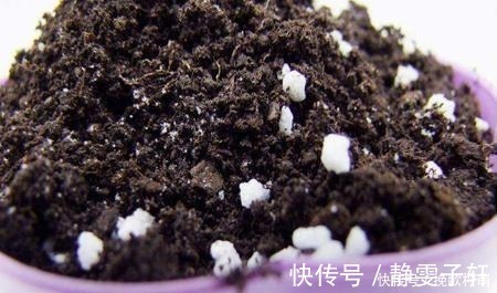 香蕉皮|养花旧土不要扔,掺上“三废料”,肥力“赛过”营养土!