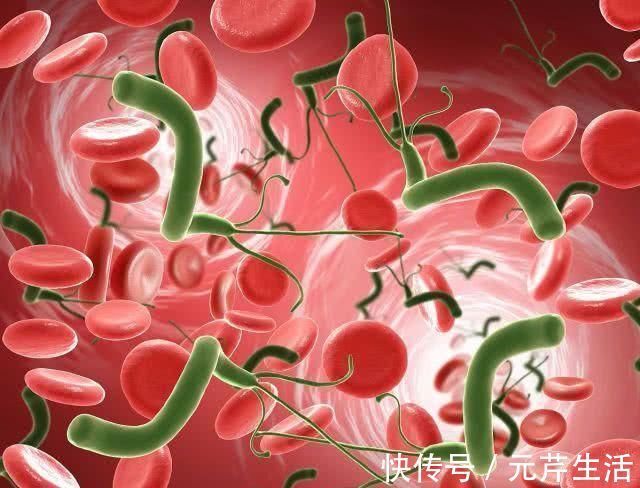 这道菜|幽门螺杆菌的“杀手”找到了, 喝水时撒一把, 大小胃病都赶跑