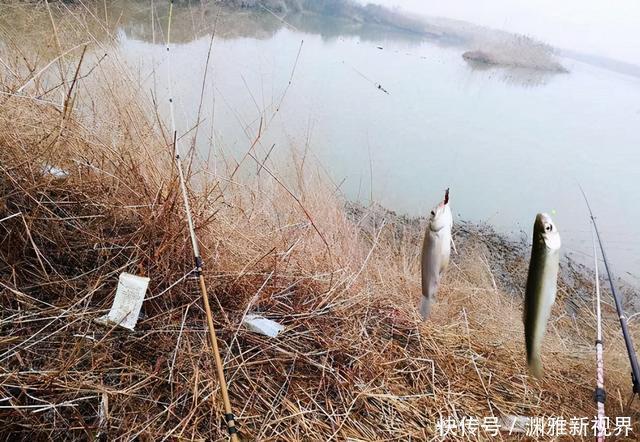 气压多少帕才能去钓鱼,得了解这三个参数值,才能心中有数