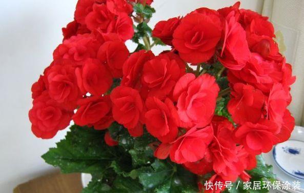 5月11日阴历是多少 5月11日阴历是多少