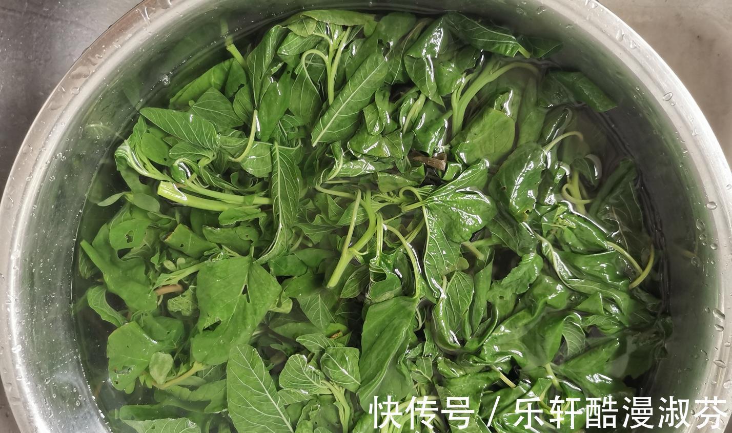 馅料|老妈包这饺子,皮薄馅大营养好,比肉饺子都好吃,清香爽口真解馋