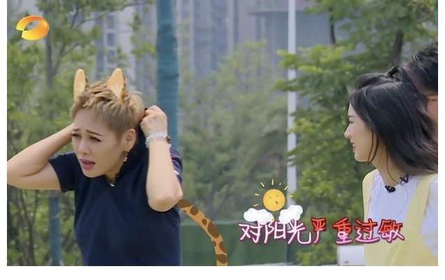 周也|姚安娜把葱认成韭菜?宁静说以前的中餐厅不好看?黄晓明变黄怂怂