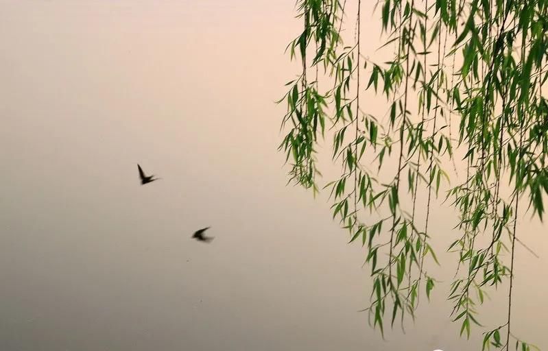 春天如酒,不饮自醉