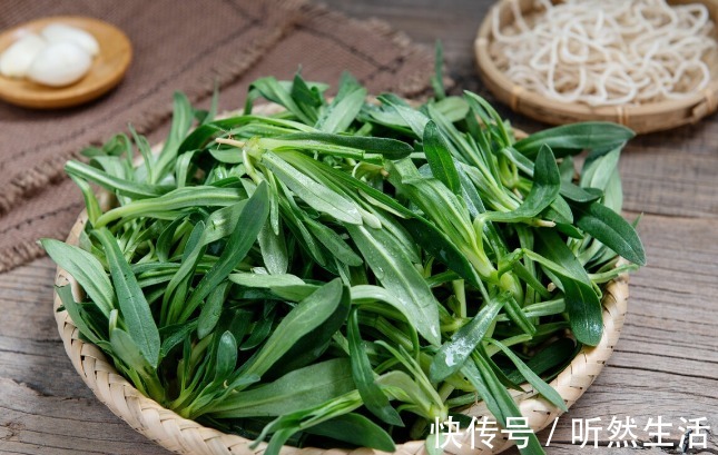 鱼腥草|66种野菜大图片，带你见识不同的野菜和吃法，你想要的野菜这里有