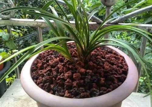  误区|远离这些养花误区，啥花都能养爆盆！