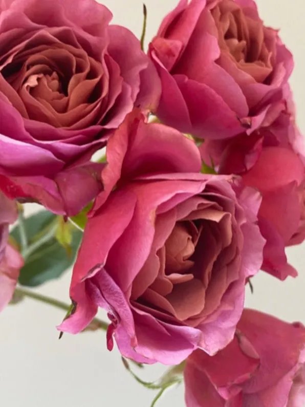 银河|诗词丨七夕:衣带渐宽终不悔,为伊消得人憔悴