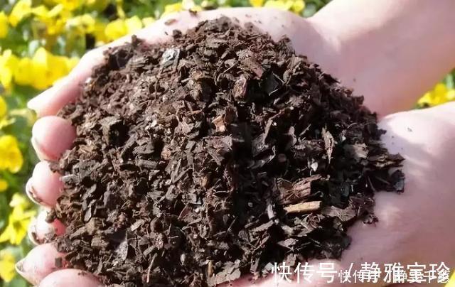 一招教你把旧土变新土，再也不用花钱买营养土种花了