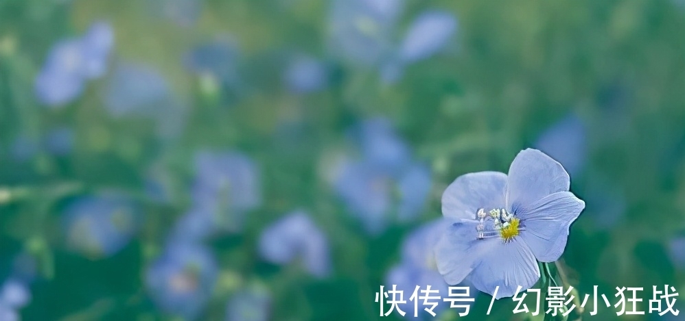 男人|男人爱一个女人到极致,通常会有几个生理反应,特别明显