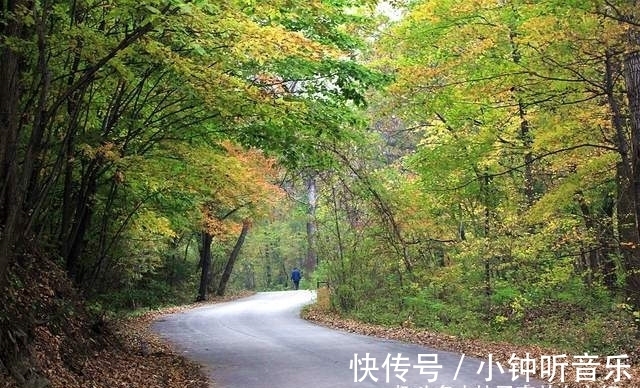 宝藏地|吉林旅游宝藏地，两个风格迥异的红叶谷，你更喜欢哪一个