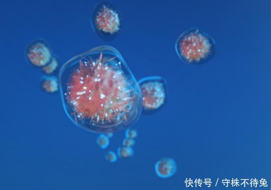 益生菌|防止过敏性鼻炎,提升免疫力是关键,利敏舒益生菌能做到