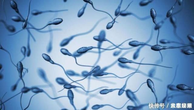 受孕率|男性也有最佳生育年龄,超过这个岁数后,要孩子得考虑清楚