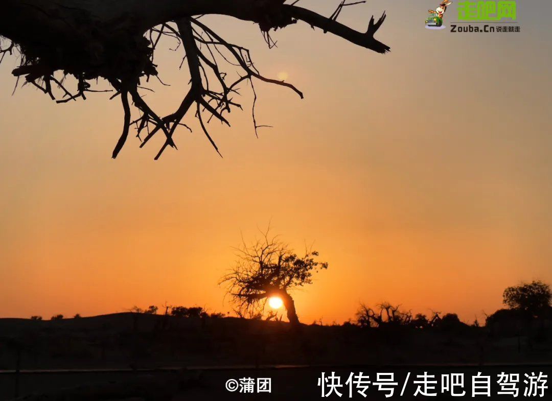 景区|额济纳“黄金盛宴”来了！住景区，穿越无人区峡谷，错过要等一年