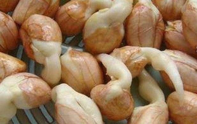 抗癌|经常吃花生芽可以抗癌营养师辟谣吃一种花生芽,反而有危险